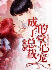 闪婚老公独宠我